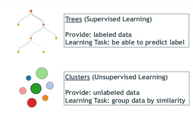 tree and cluster