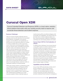 DS-Open XDR