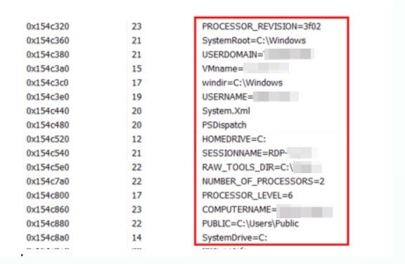 Fig: Malware's-System-Fingerprinting-Data-in-Memory